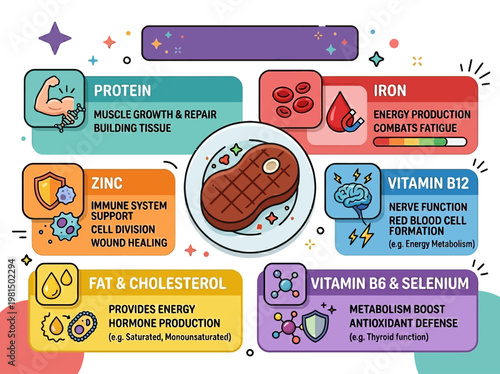 Modern vector infographic illustrating essential nutritional benefits of steak, detailing vitamins, minerals, and their positive health impacts.