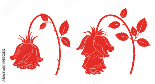Wilting Red Roses Silhouette, Symbolizing Sadness, Loss, and Fading Love