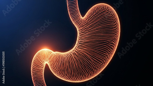 World Digestive Health Day Medical illustration of the human stomach with a glowing focal point, representing pain or inflammation, against a dark blue background