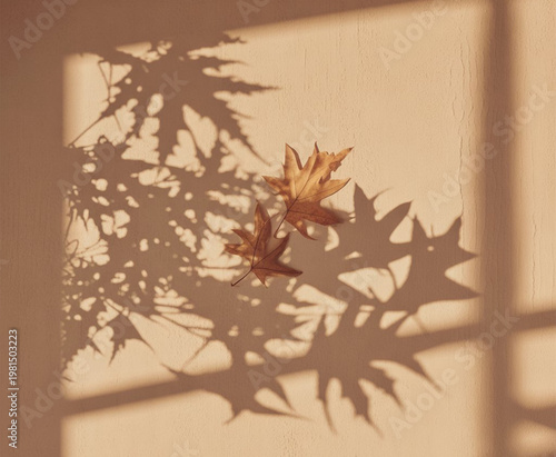 Autumn Leaves Shadow on Warm Sunlit Wall Minimal Aesthetic Background
