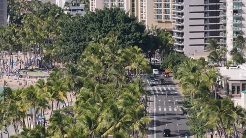 Busy Waikiki Beach and Palm Lined Boulevard with City Buildings and Ocean Views