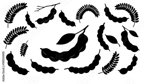 Minimal tamarind silhouette icon set tropical fruit vector isolated on white background