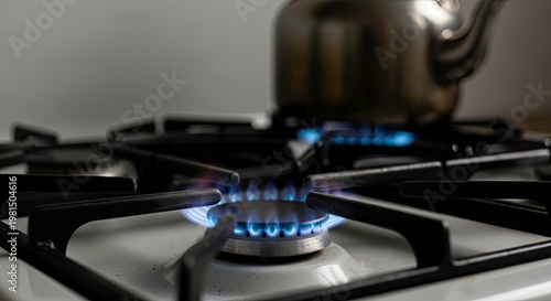 Close-Up of a Gas Stove Burner with Flames Ignited