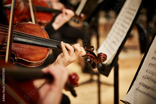 musician playing the violin