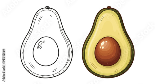 Avocado Half: Line Art vs. Realistic Illustration