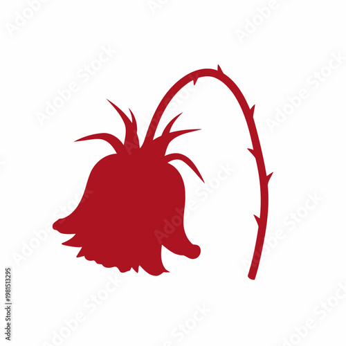 Wilting Red Rose Silhouette on White Background