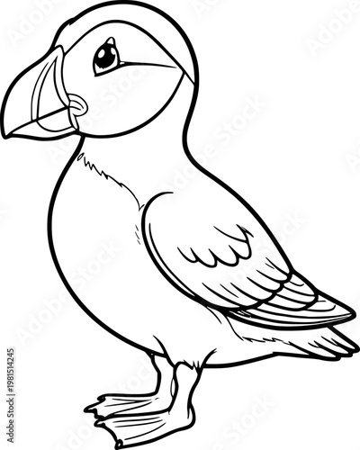 vector illustration of a puffin bird