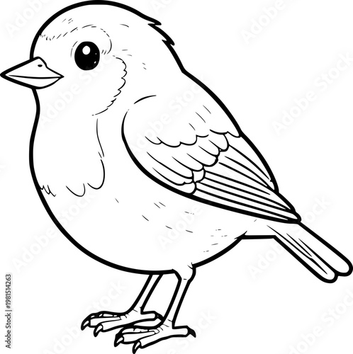 vector illustration of a robin redbreast bird