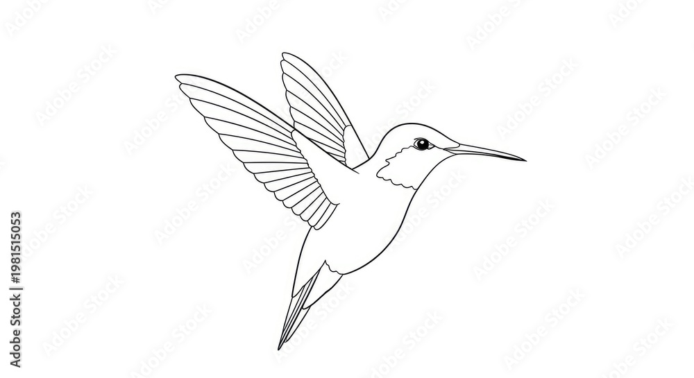 Fototapeta premium A hummingbird is flying in an upward motion. The bird is depicted in a black and white line drawing style.
