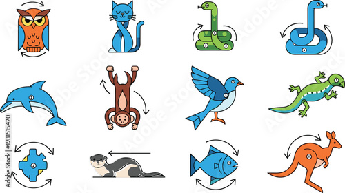Rotating Animal Icons Vector Set with Cat Owl Snake Dolphin Monkey Bird and Wildlife