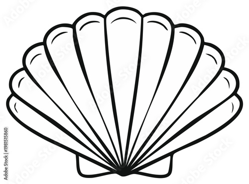 Simple outline of a seashell for coloring book designs or illustrations, fan-shaped shell with radiating pattern of grooves and ridges