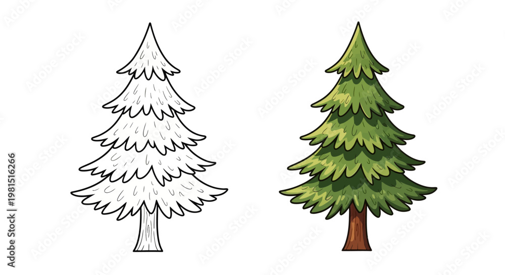 Obraz premium Pine Tree Illustration: Outline and Colored Version