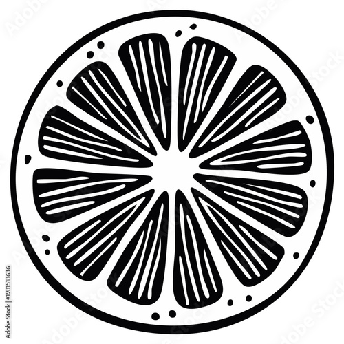 Stylized black and white illustration of a citrus fruit slice showing segments and seeds
