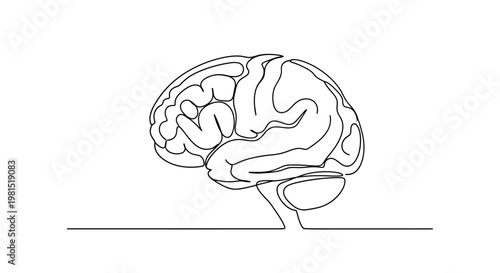 Minimalist Line Art Brain Illustration, Continuous Line Drawing of Human Brain