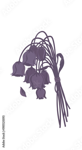Photos Wilting Purple Flowers Bouquet Isolated on White Background, Symbolizing Sadness
