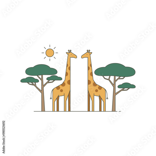 Two Giraffes Standing Tall in African Savannah Landscape.