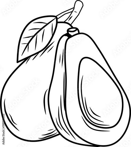 icon vector avocado design, with various design shapes, with a hand drawn black outline style for fruit.