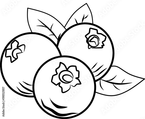 icon vector Blueberry design, with various design shapes, with a hand drawn black outline style for fruit.