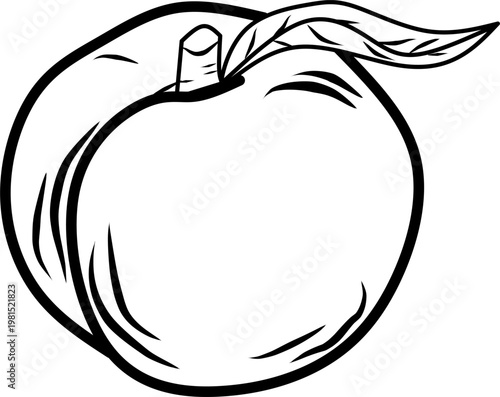 icon vector peach design, with various design shapes, with a hand drawn black outline style for fruit.