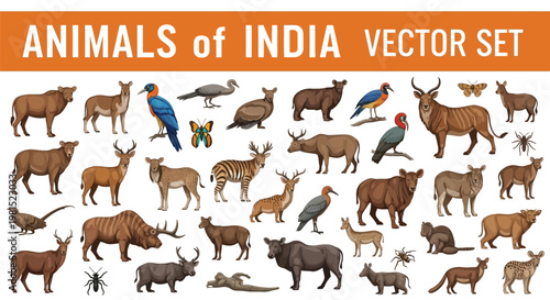Comprehensive collection of hand drawn indian wildlife icons featuring various indigenous animals birds and insects presented as a stylized vector graphic design set that showcases the rich biological