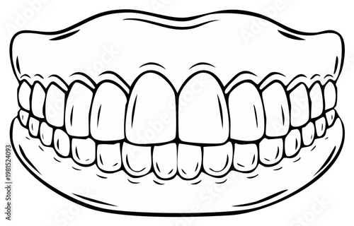 Illustration of a Full Set of White Dentures or False Teeth