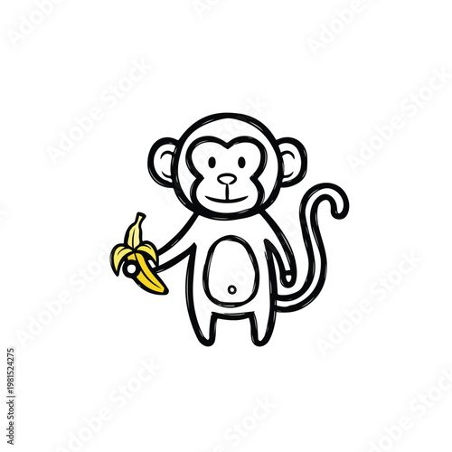 Monkey holding banana on white background