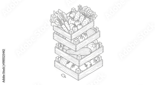 Stacked wooden crates filled with fresh garden vegetables and leafy greens in an outlined illustration style