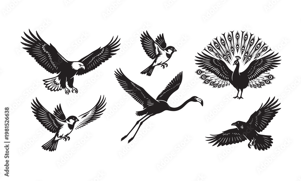 Fototapeta premium A comprehensive collection of wild flying bird silhouettes featuring eagle, hawk, and raven vectors with elegant wings and feathers for nature-inspired tattoo art and wildlife design symbols