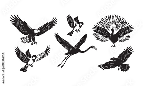 A comprehensive collection of wild flying bird silhouettes featuring eagle, hawk, and raven vectors with elegant wings and feathers for nature-inspired tattoo art and wildlife design symbols