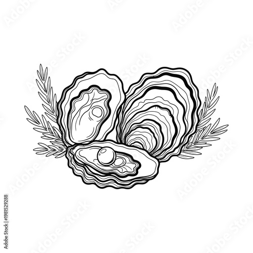 Detailed hand-drawn vector illustration of fresh oysters, one with a pearl, accented by aromatic herbs. Ideal for gourmet culinary branding and seafood menu designs