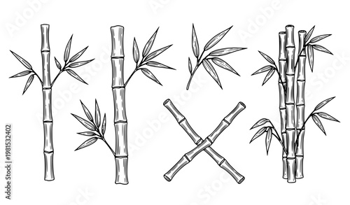 Elegant Bamboo Line Art Icon Collection with Hand Drawn Botanical Elements on White Background