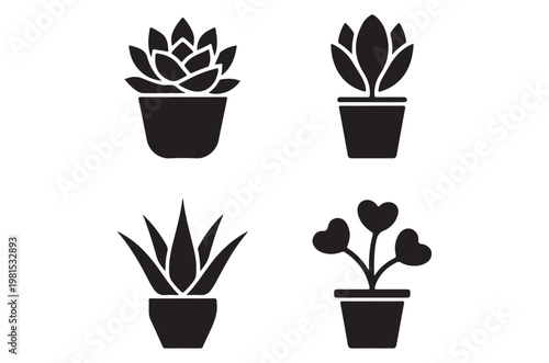 Four potted succulent plants displayed as simple black silhouettes
