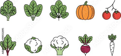 Vegetable Icons Collection with Spinach, Pumpkin, Tomato, Cauliflower and Beetroot, Flat Food Illustration Set for Healthy Diet, Organic Cooking, Nutrition, and Menu Design