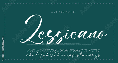 elegant handwritten font that captures a realistic signature style, great for personal logos and stationery. 