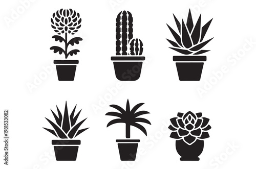 Black and white silhouette illustrations of various potted desert plants