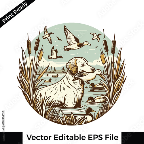 Vector illustration of dog retrieving duck in water with cattails and flying ducks