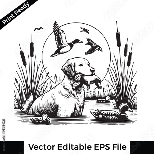 Vector illustration of a dog retrieving a duck in a pond with cattails and flying ducks