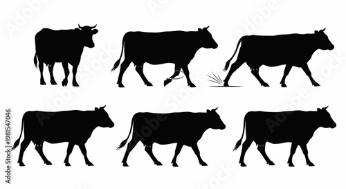 Black cow silhouettes walking in different positions on white background