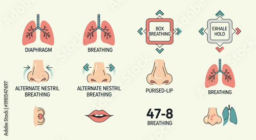 Breathing Exercises and Techniques: Lungs, Nose, Mouth, and Diaphragm Icons