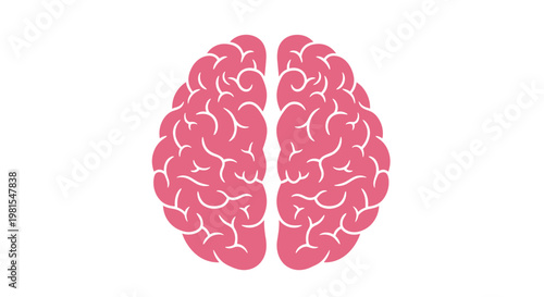 Pink Brain Illustration.