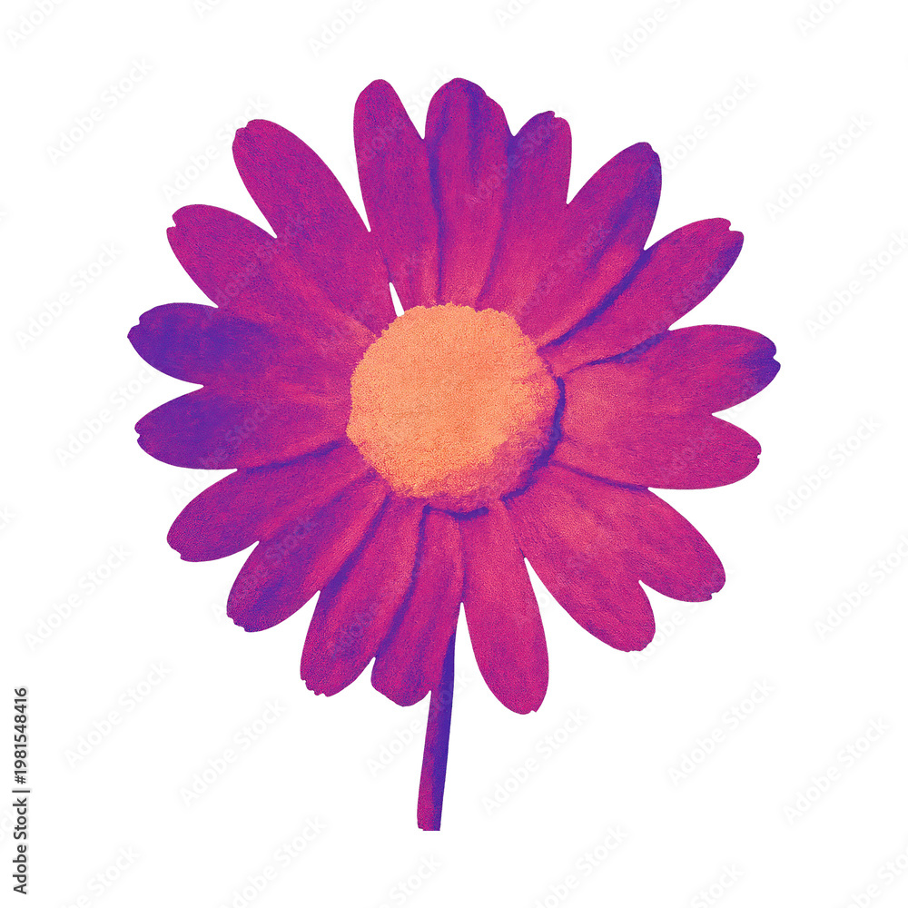 Fototapeta premium PNG Vibrant daisy flower illustration