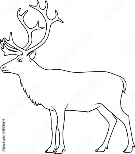 Majestic reindeer with large antlers standing proudly