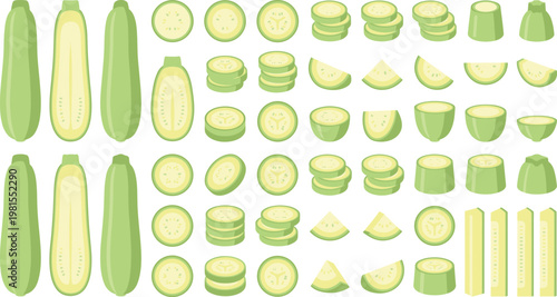 Zucchini Vector Set with Whole, Sliced, Chopped and Cross Section Pieces Showing Fresh Green Vegetable Variations for Cooking, Healthy Food and Organic Design