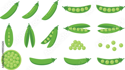 Green Pea Vector Set with Pods, Open Shells, and Loose Peas Featuring Fresh Vegetable Illustrations for Healthy Food Design and Organic Nutrition Graphics