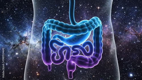 Human digestive system in space