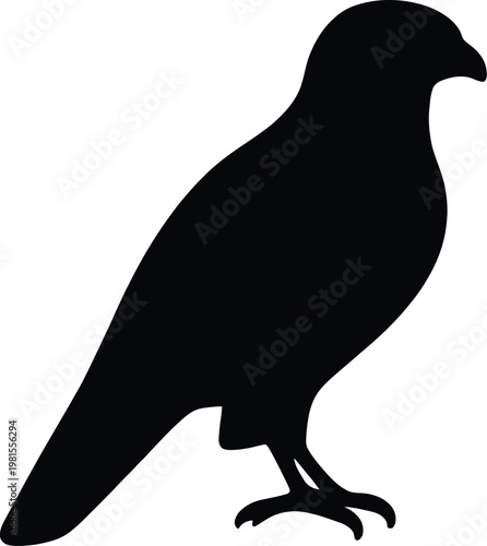 Black silhouette of a perched bird of prey like a hawk or eagle in profile isolated on a plain white background vector