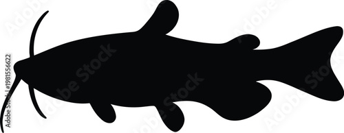 Detailed black silhouette of a catfish isolated on a white background for fishing and aquatic wildlife graphics
