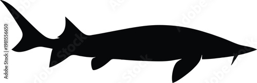 Sturgeon fish silhouette icon isolated on transparent background for marine biology and fishing industry graphic design