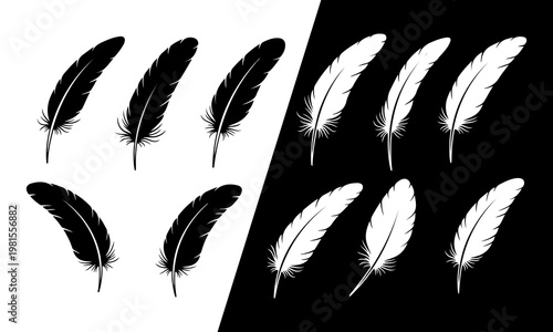 Black and white feather silhouettes on split background. soft bird plumage set. Big set of bird feathers design vector illustration. 