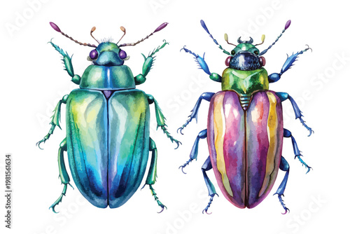 Tableau sur toile Hand-Painted Jewel Beetle Watercolor, Iridescent Bug Art, Isolated Vector Illust